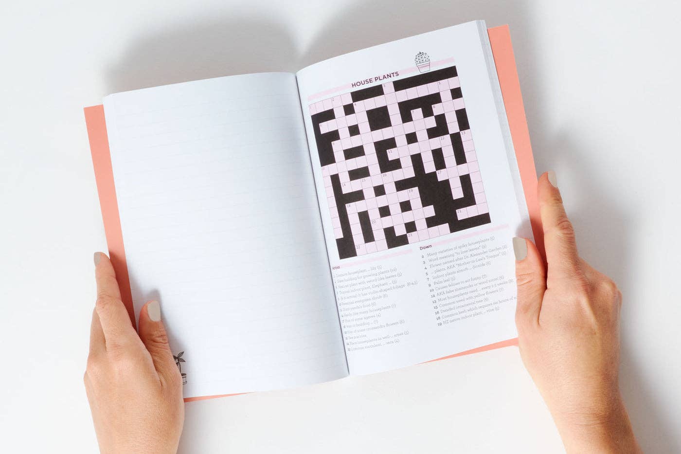 Crosswords and Notebook
