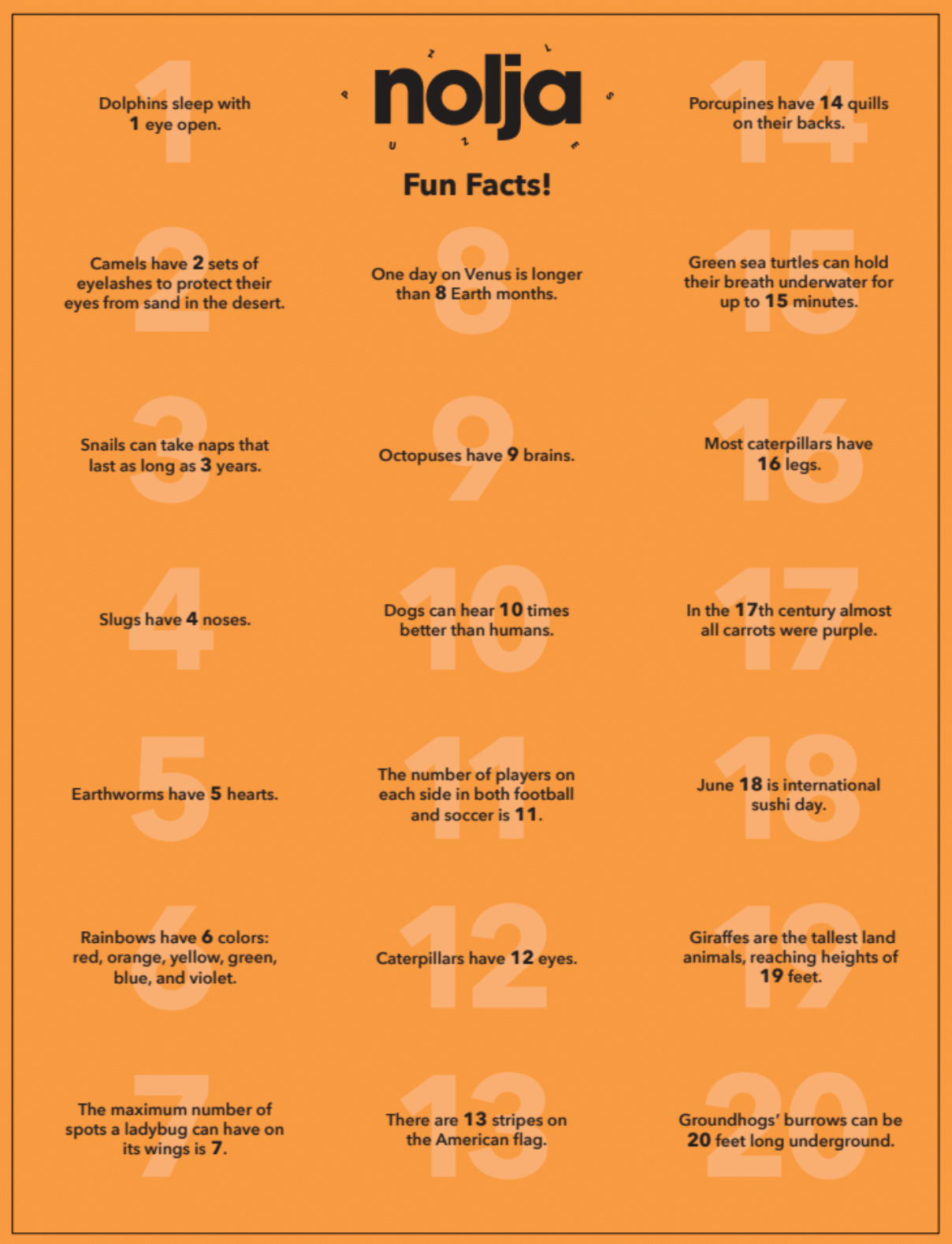 Easy As 1,2,3 36pc Jigsaw Puzzle